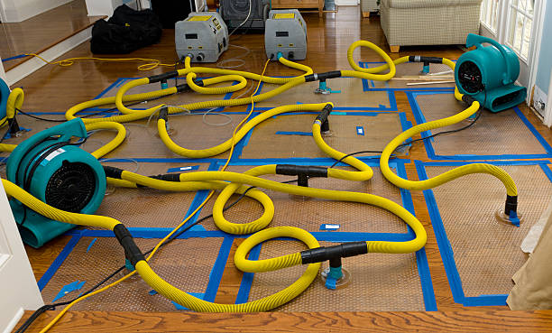 Professional Burst Pipe Water Damage technician working in Mount Carmel, TN